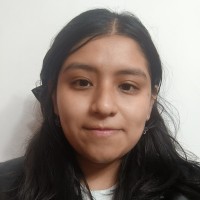 Carol Josselyn Pasache Leiva