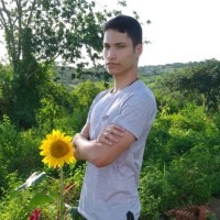 Pedro Henrique Malaquias da Silva