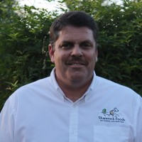 Kevin Wilson