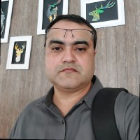 Muhammad Ahmed Hanif