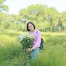 Thơ Lai Nguyễn