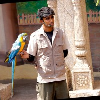 Sanket Ghag