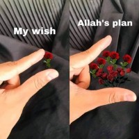 Zeinab Sami