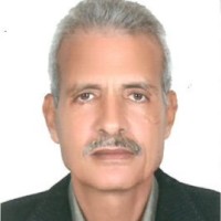 adel elsayed