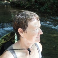 Sharon Endress