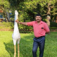 Murali Kumar
