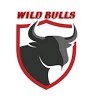 WILD BULLS