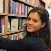 Nilum Hengst