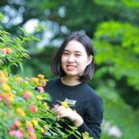 Phạm Hương