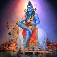 Raj Kumar