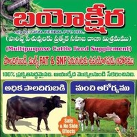 hari vijay