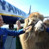 Leo Hairycamel