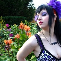 Rose Noir