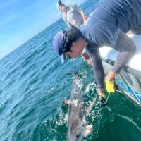 Faqih Akbar Alghozali