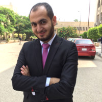 Ahmed El-Mansy