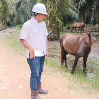 Dwi Putra Laurensius Sitorus