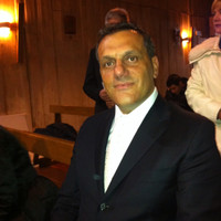 Alessandro Pietro Vicini