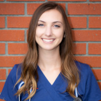 Rebecca Vincent, Bsn, Rn Ii