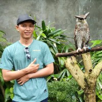 Tommy Hidayat