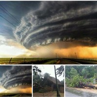 jackson carlos tchizondo