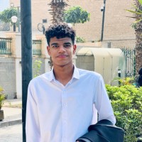 Sayed Nasser