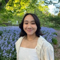 Maddy Ngo
