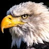 Eagle Eagle