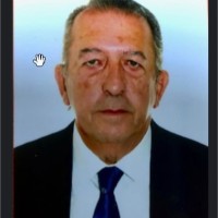 JOSE LUIS FERNANDEZ ALCON