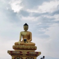 Saurav M.