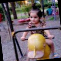 Bhavsar Manish