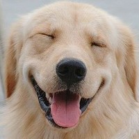 Narenrit Chaowapongpaiboon