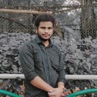 Vivek C V