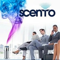 Scento Angola