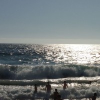 Maria Paz Bustamante Kuschel