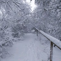 Богдан Горда