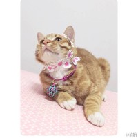 郭伯莉