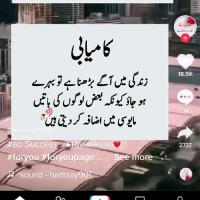 Waleed Arif