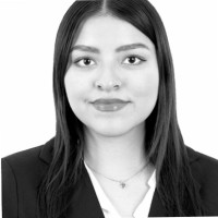 Lesslie Briones