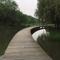 龙小林