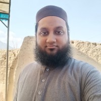 Muhammad Anas Shahid
