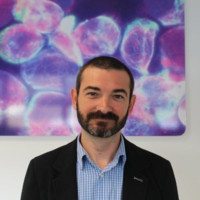 José Antº Morante Vique