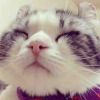 李寅飞