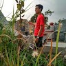 Hendro Wibowo