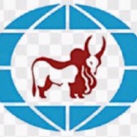 Indian Tiger Success Its Tour Traval International And Domestic