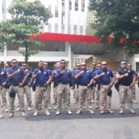 Falcon Guard