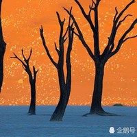 刘英彩