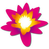 Lotus Music