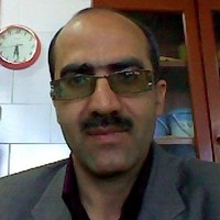 H. molla Hoseini