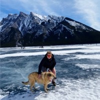 Elizabeth Zajdel, Cpa (Cma)