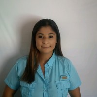 Ing Veronica Rojas